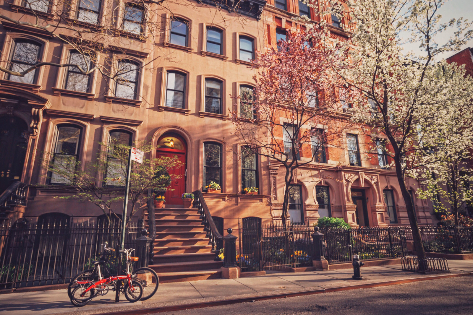 street, trees, building, bike, New York