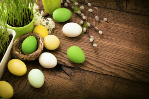 decoración, Pascua de Resurrección, huevos, flores, césped, contento, primavera