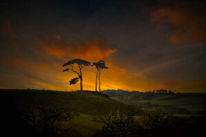 des nuages, collines, le coucher du soleil, Le ciel, des arbres