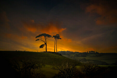 nuvole, colline, tramonto, il cielo, alberi