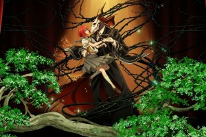 Épouse du sorcier, Mahou Tsukai no Yome, pointes, deux