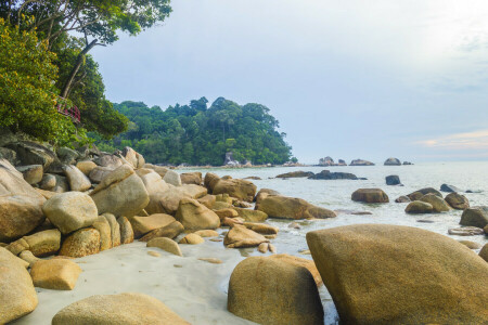 home, sea, shore, stones, trees