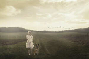 Hund, Feld, Mädchen, Stimmung, der Abend