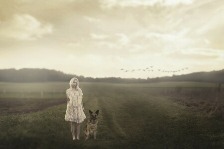 dog, field, girl, mood, the evening