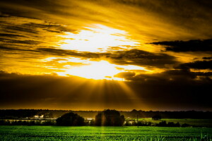 campo, paesaggio, tramonto, il cielo