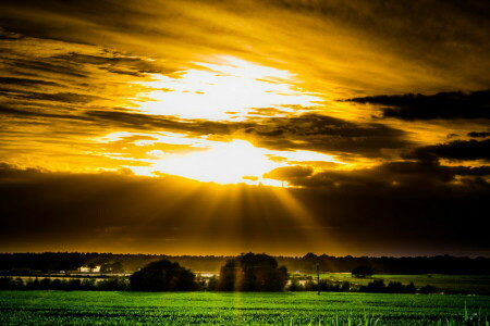 campo, panorama, pôr do sol, o céu