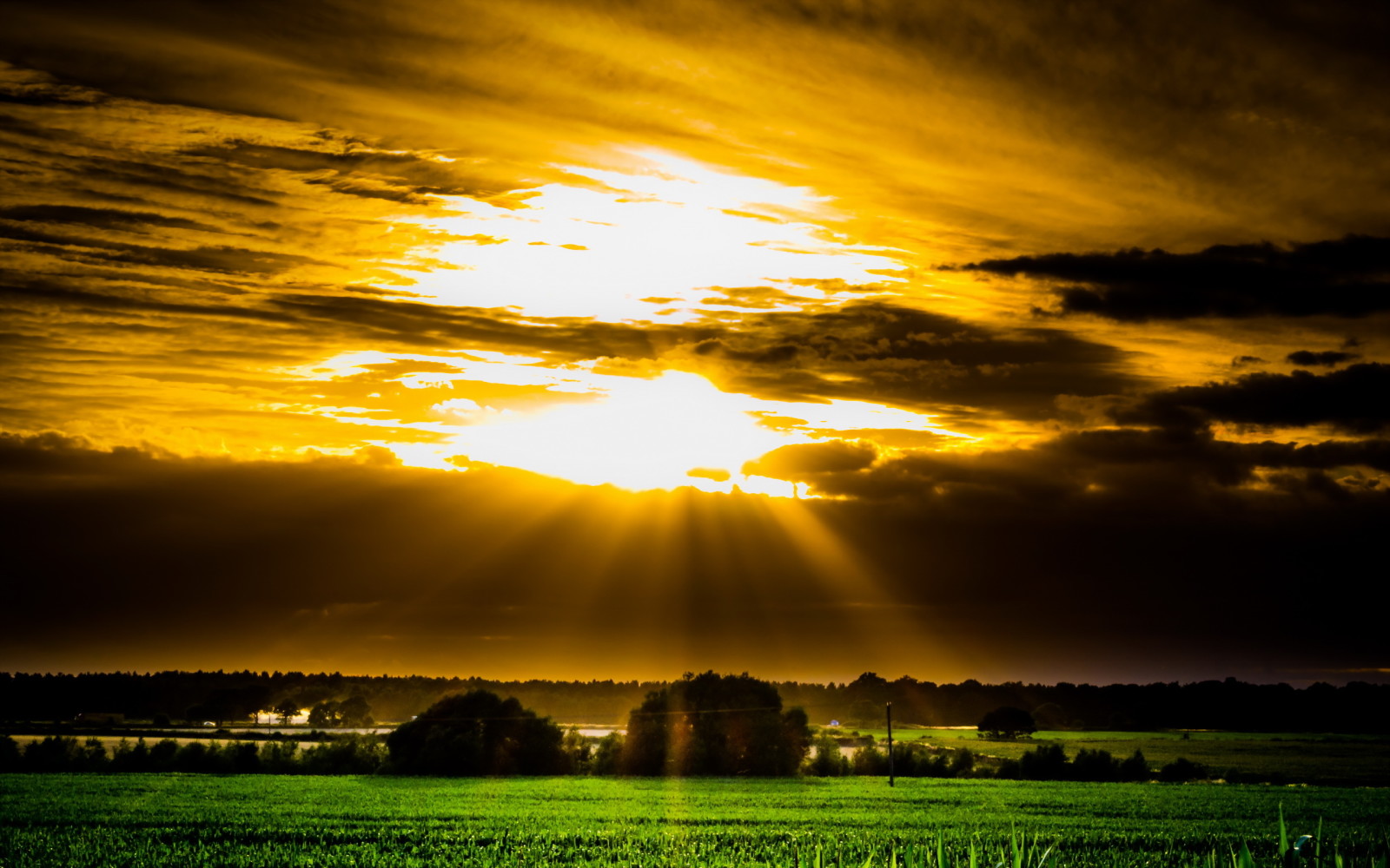 Le ciel, le coucher du soleil, paysage, champ