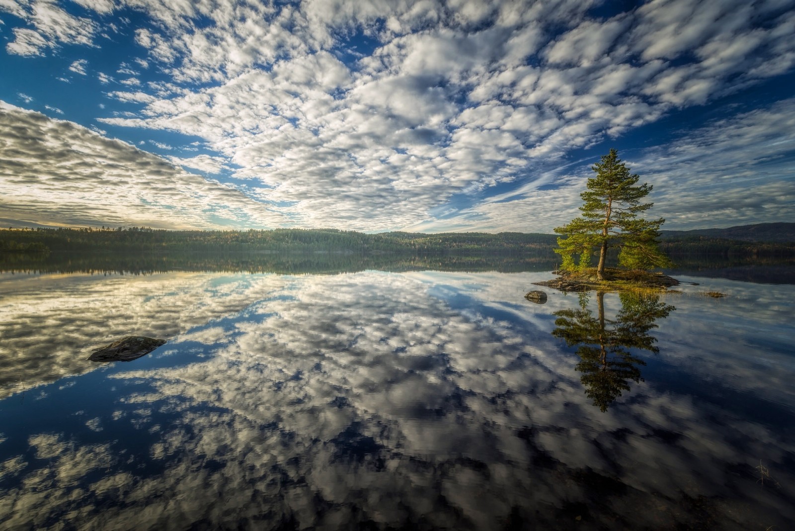 boom, de lucht, Baai, reflectie, eiland, wolken, water, pijnboom