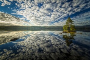 Bay, clouds, island, pine, reflection, the sky, tree, water