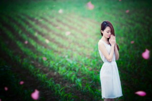 asian, field, girl