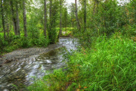 foliage, grass, greens, stones, stream, trees