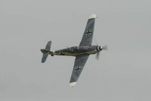 vuelo, el cielo gris, el avión