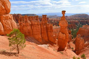 canyon, mountains, rocks, slope, the sky, tree