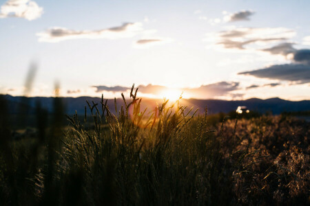 Buisson, des nuages, champ, herbe, collines, Machine, le coucher du soleil, Le ciel