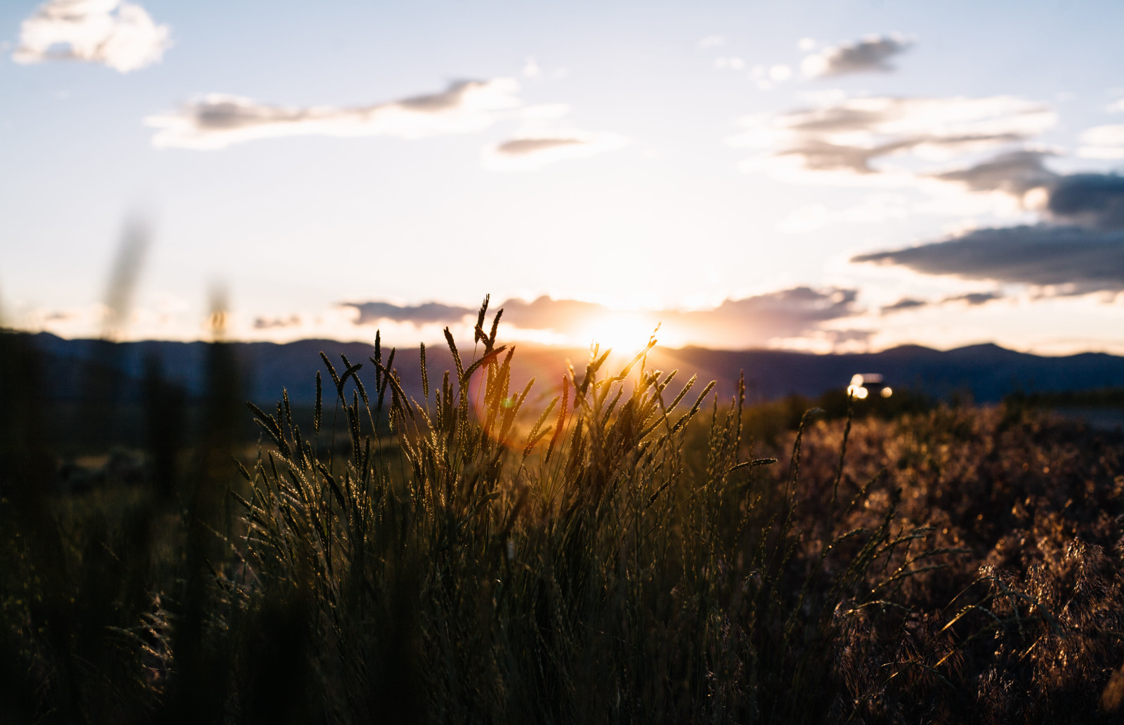 herbe, Le ciel, le coucher du soleil, champ, des nuages, collines, Buisson, le soleil