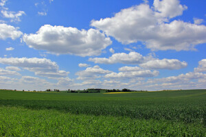 clouds, field, grass, the sky