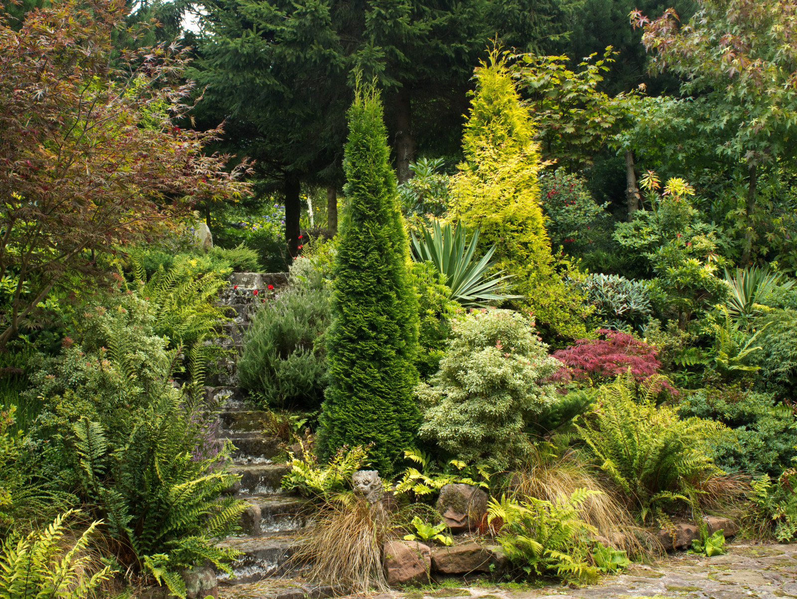 Parque, arboles, verduras, escalera, Jardín, Reino Unido, los arbustos, pasos