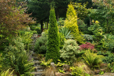 Jardin, légumes verts, échelle, Jardins de Mount Pleasant, parc, pas, les buissons, des arbres