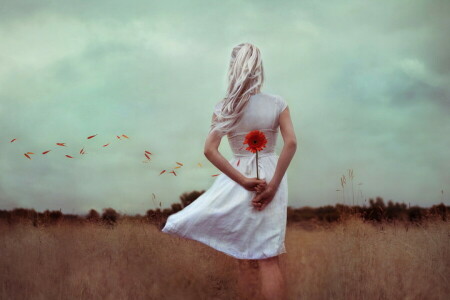 field, flower, girl