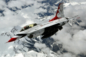 F 16, Combattant, Faucon de combat