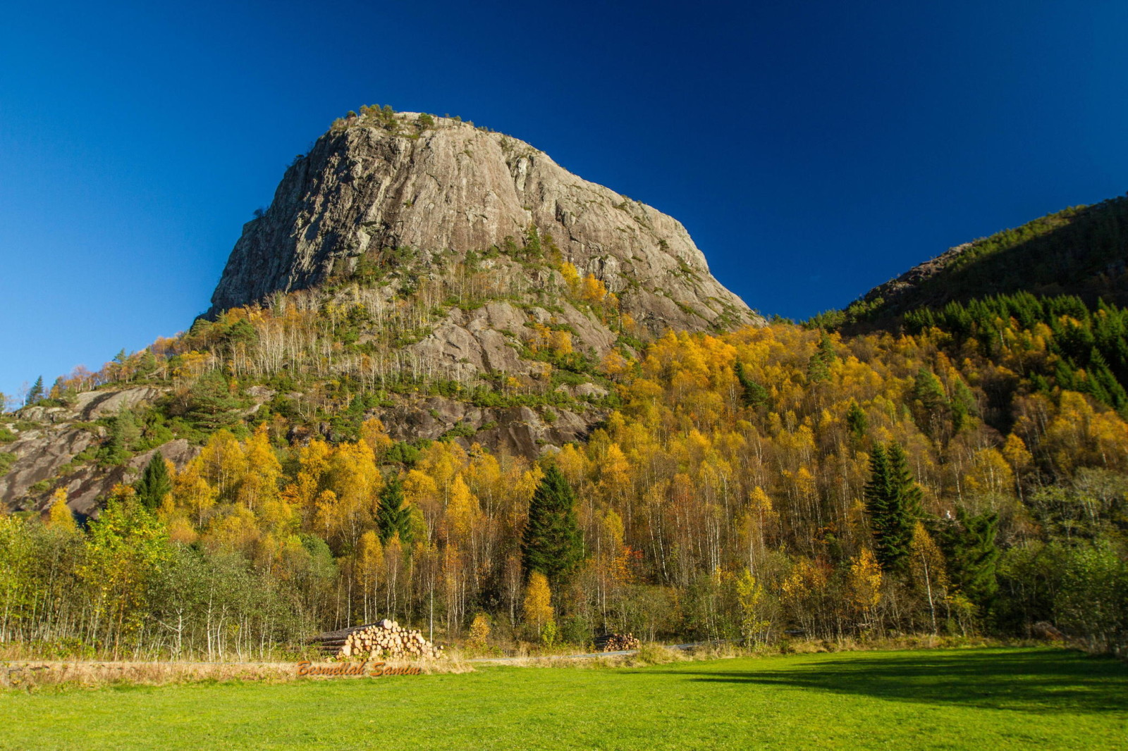 forest, nature, Mountain, trees