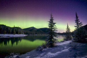 montagnes, Northern Lights, neige, étoiles, Le ciel, des arbres, hiver