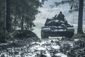 forest, road, tank