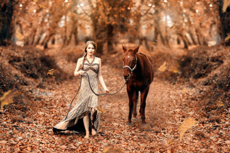 Alessandro Di Cicco, autumn, Fairy Tale, girl, horse, leaves