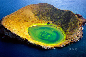 cráter, Ecuador, Isla santiago, mar, Las islas Galápagos, el volcan