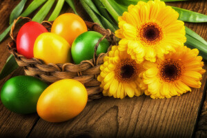 colorful, Easter, eggs, Gerbera, gerberas, spring