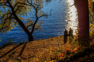 autumn, pair, Park, pond, sadness, tree