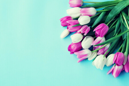 bouquet, colorful, flowers, tulips