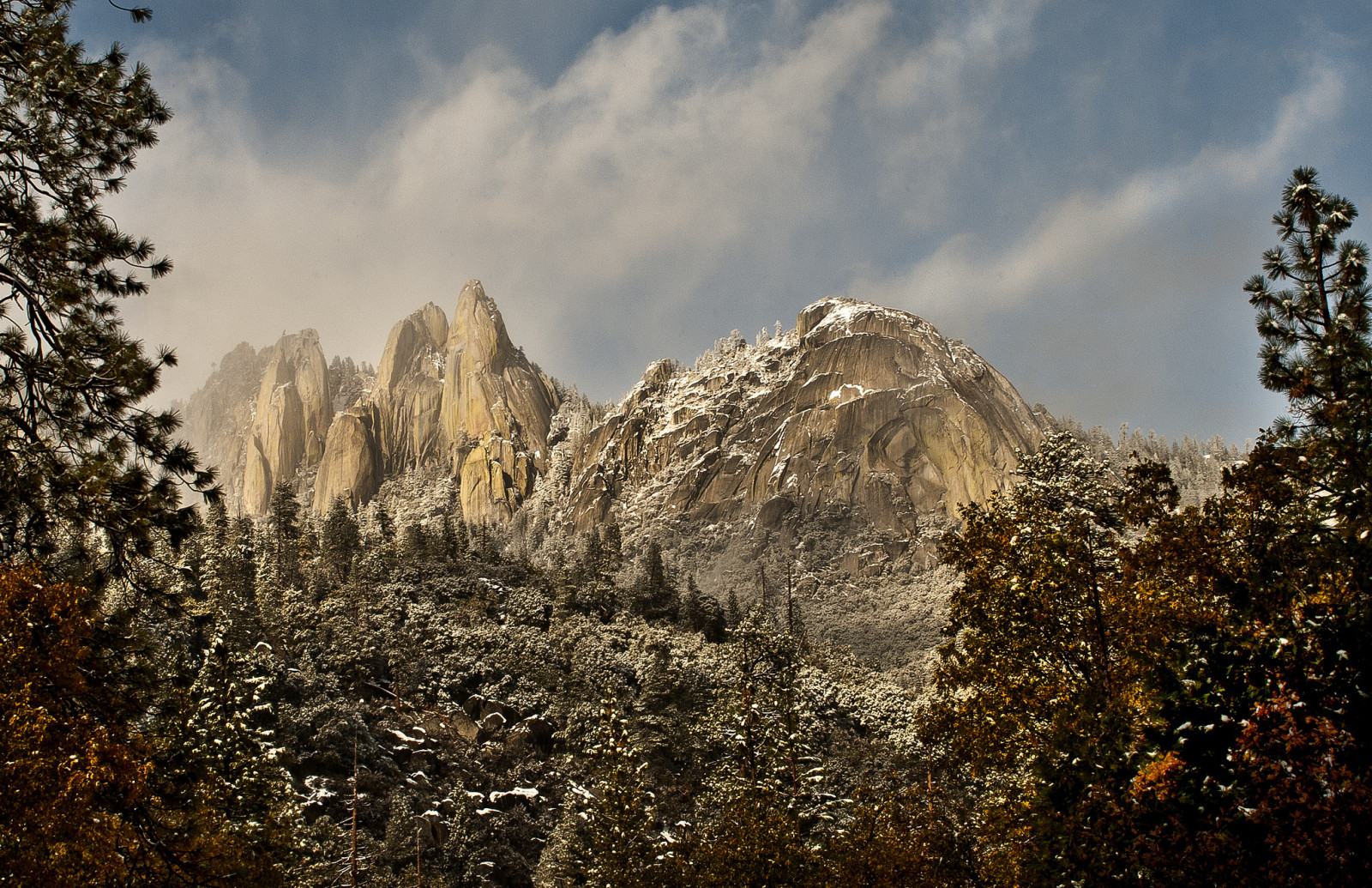 forest, winter, landscape, trees, mountains