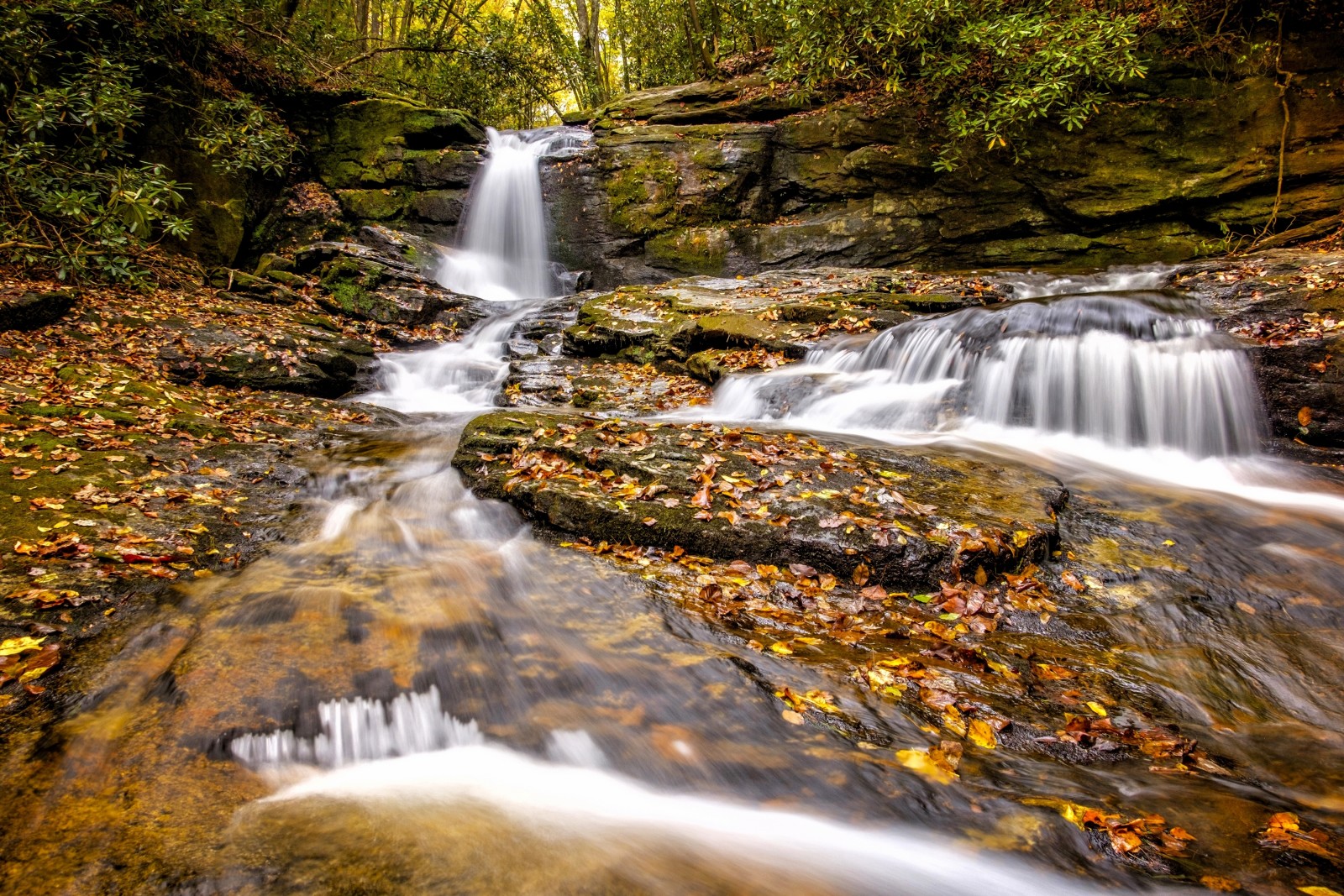 Herbst, Wasserfall, Blätter, Georgia, Kaskade, GA, Raven Cliff Falls