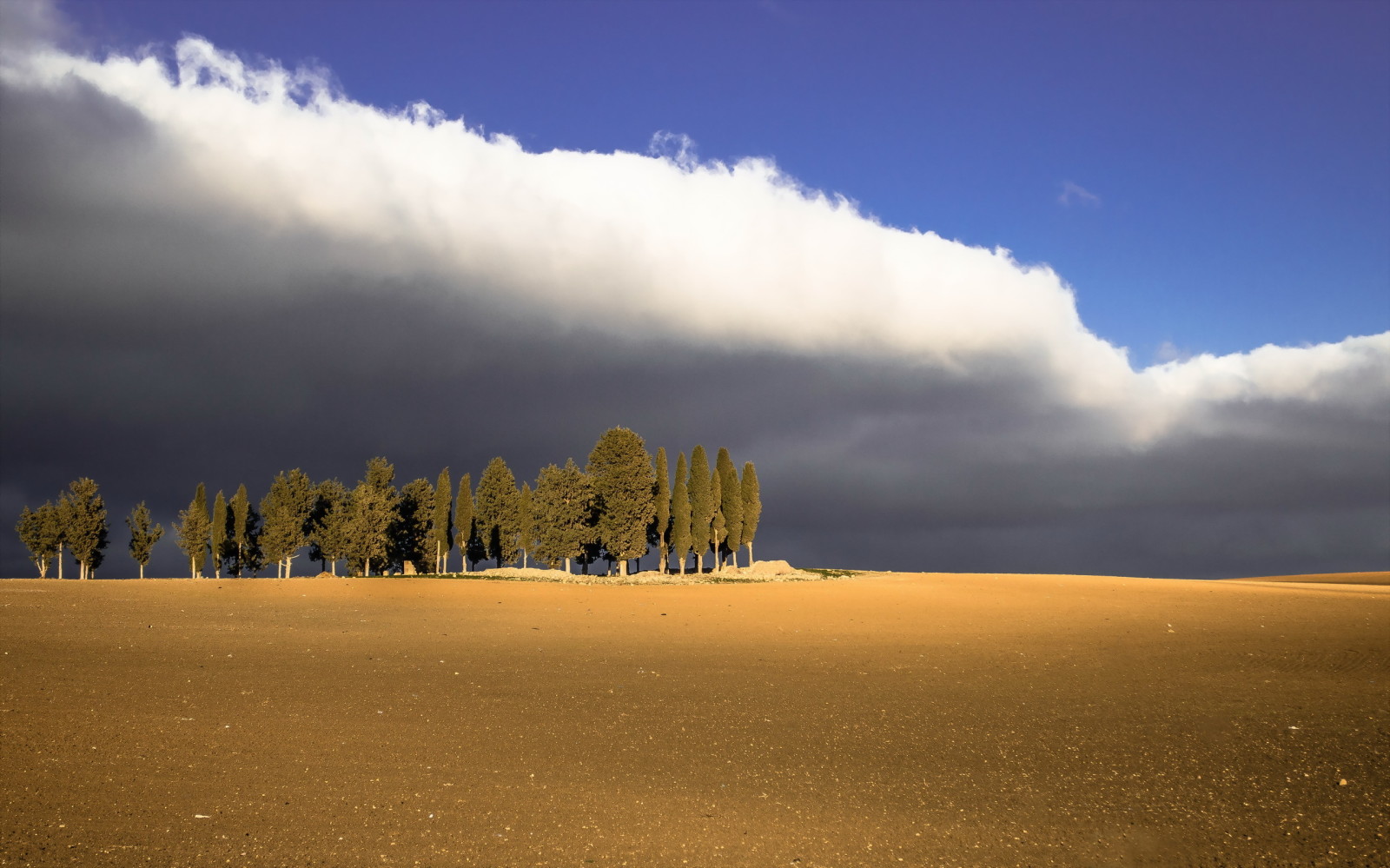 landschap, bomen, veld-, wolken