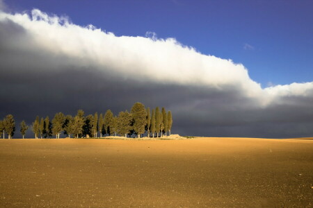 wolken, veld-, landschap, bomen