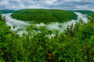 nuvens, névoa, floresta, Colina, o céu, árvores