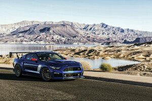 Bród, Mustang, Roush Stage 3