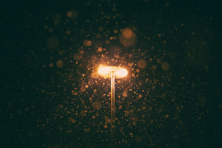 lamp post, light, snowing, winter