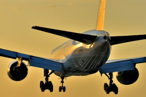 B-777, Boeing, Chassis, landing, the plane