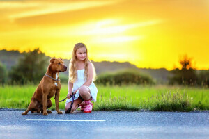 asphalte, chien, Chien et fille, fille