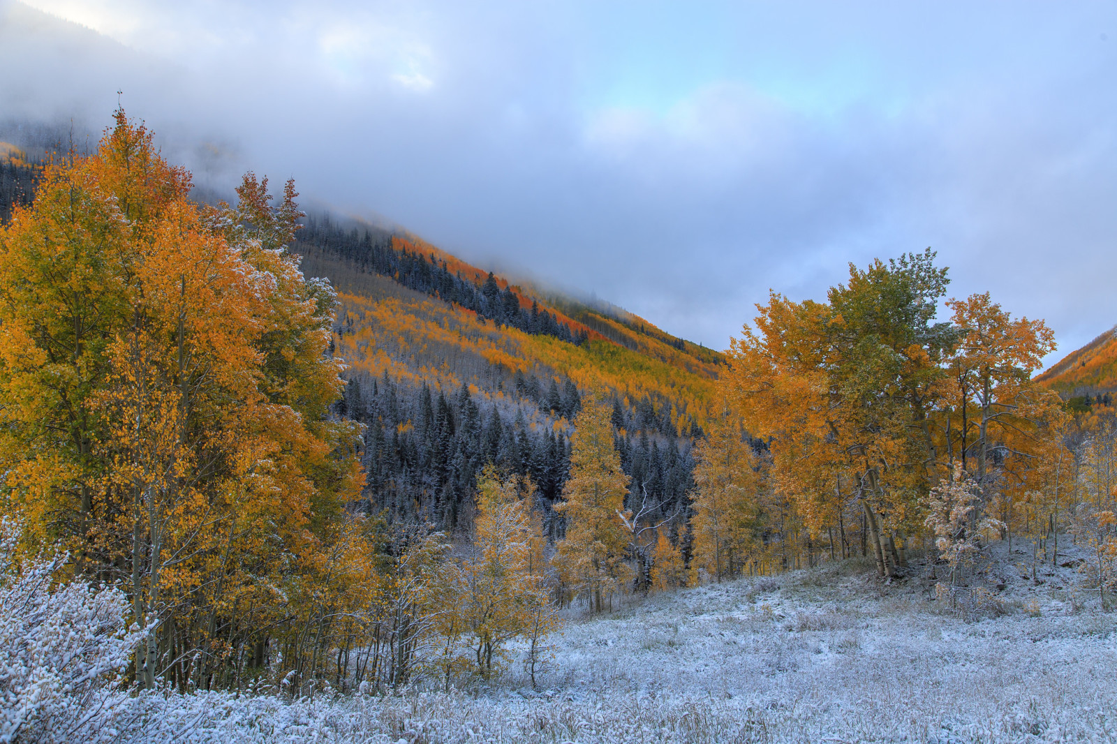 neige, l'automne, Le ciel, des arbres, des nuages, montagnes