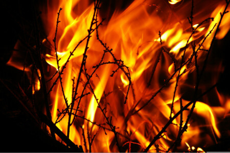 fuoco, fiamma, notte, il fuoco