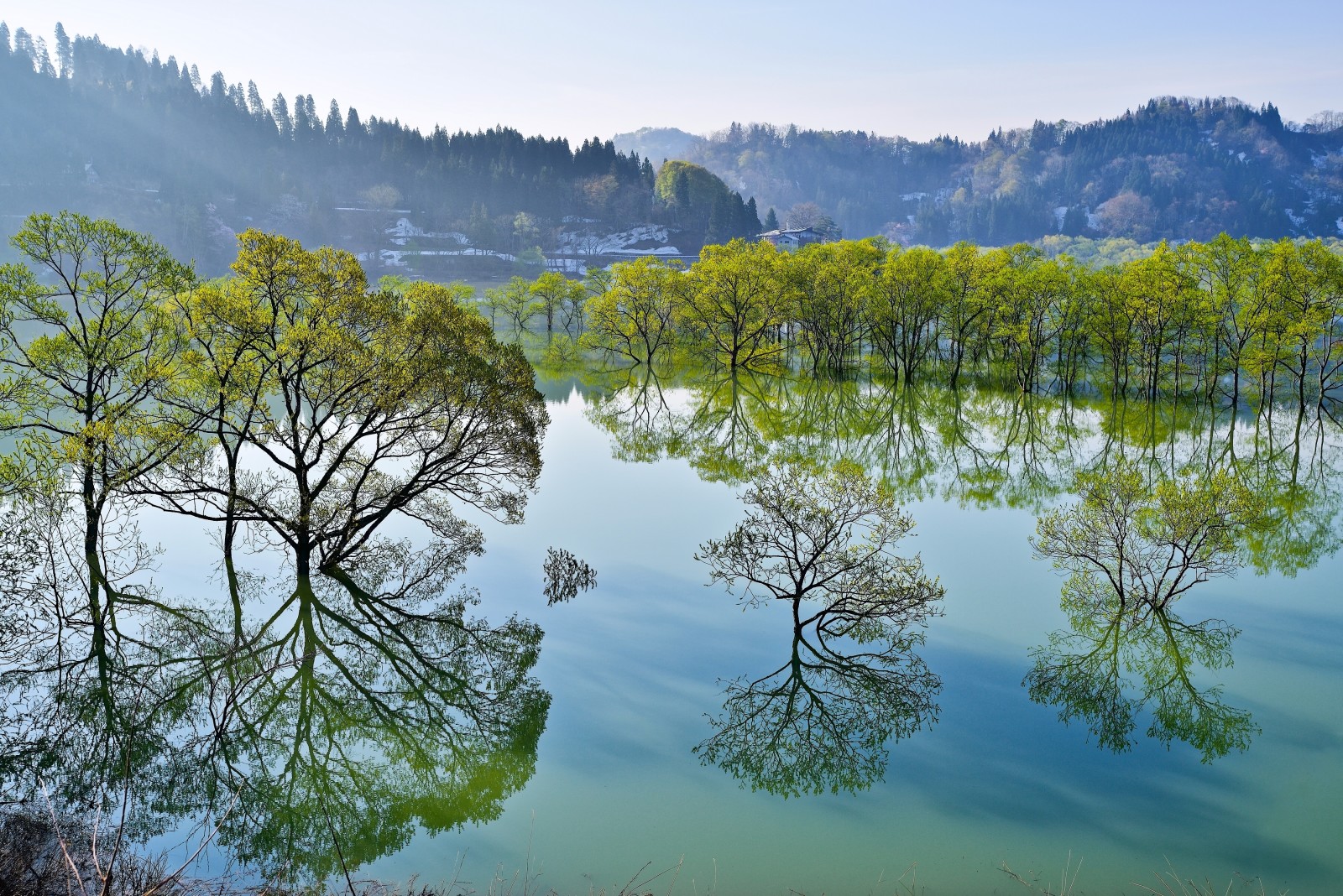 innsjø, refleksjon, trær, Japan, Yamagata, Iide, Det er Shirakawa, Iidaen