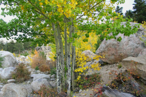 l'automne, pente, des pierres, Le ciel, des arbres