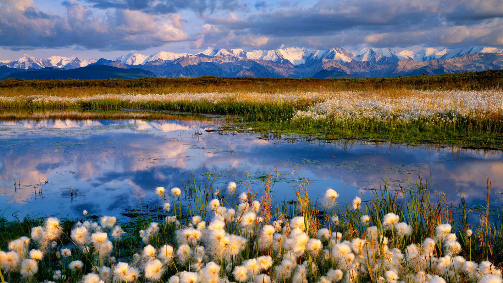 neige, Le ciel, Lac, fleurs, des nuages, montagnes