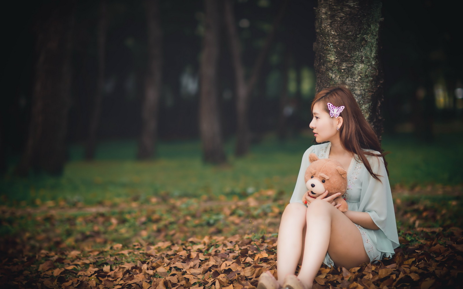 menina, Urso, asiático