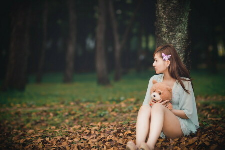 asiatico, orso, ragazza