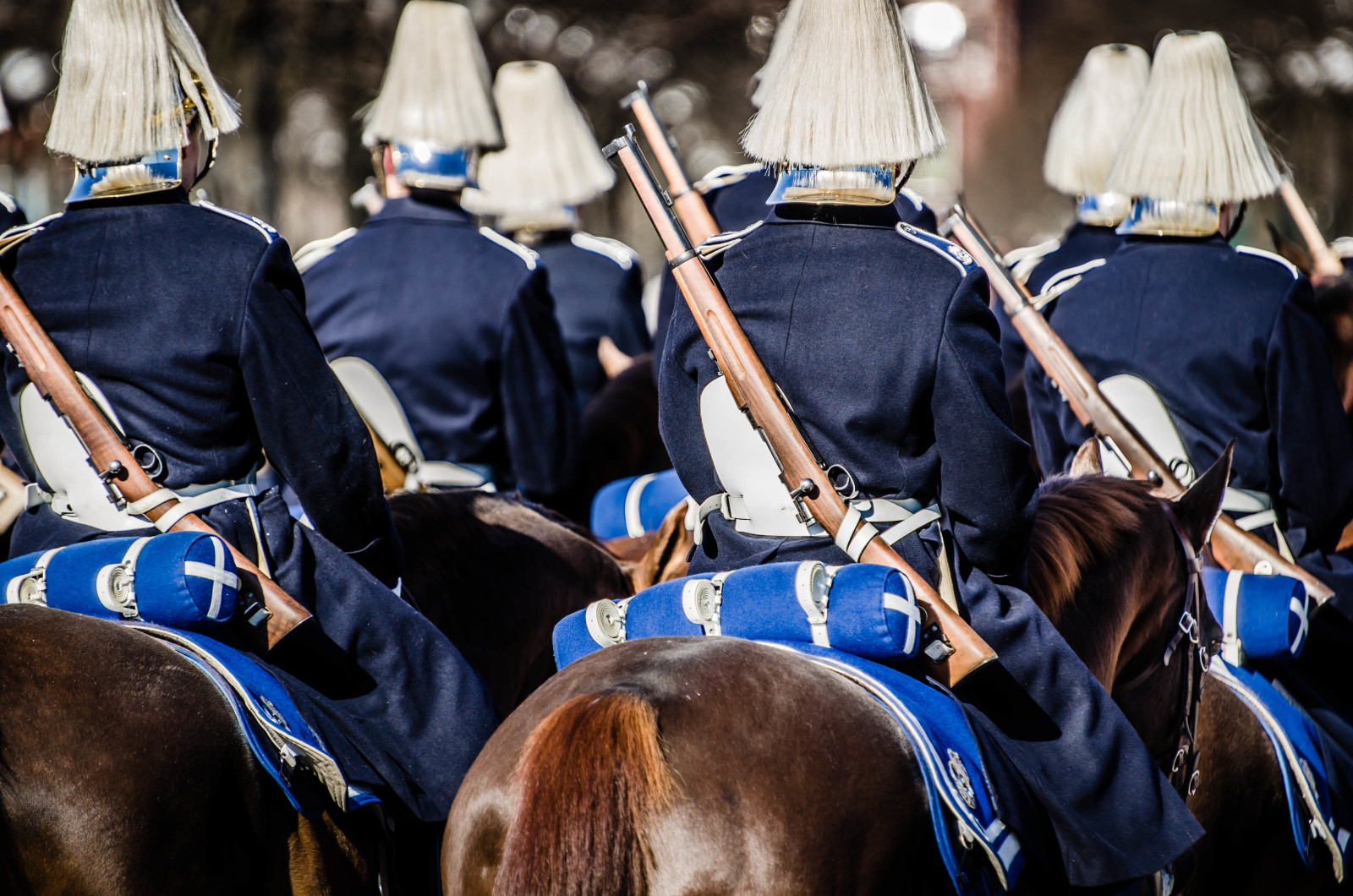 Soldiers, guard, rifles, Sverige, Royal Horse Guards