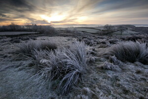 felt, landskap, natur